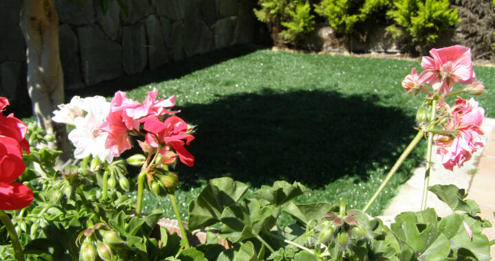 galería-residencias